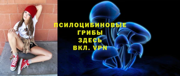a pvp Богородск