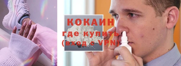 амф Бородино