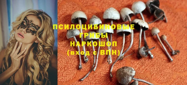 мдпв Бугульма