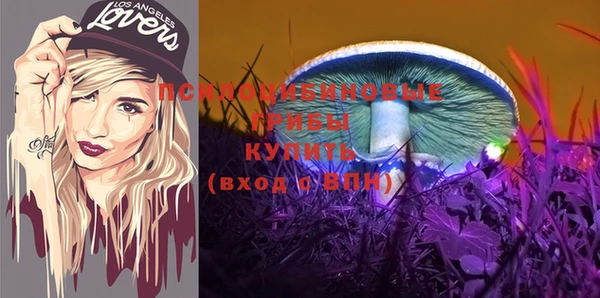 амф Бородино
