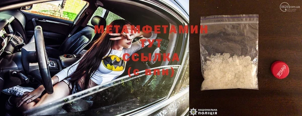 спиды Богданович