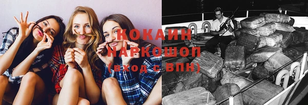спиды Богданович