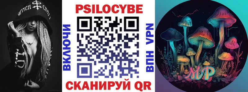 Псилоцибиновые грибы Cubensis  где найти   hydra онион  Шилка 